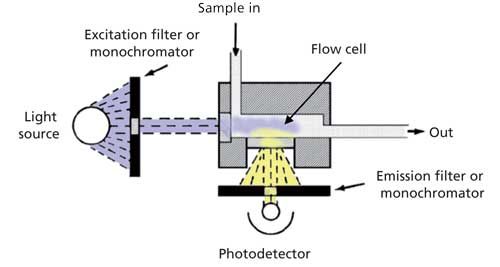 Fluorescence Detector