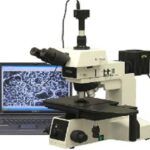Know The Basics Of The Bright Field Microscope And Its Uses In Research